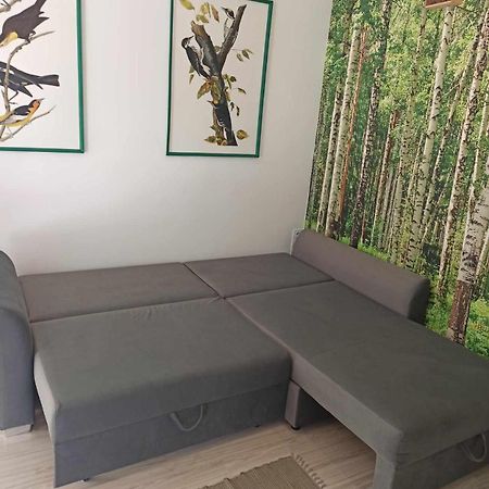 Studio Leśne Lubniewice Esterno foto