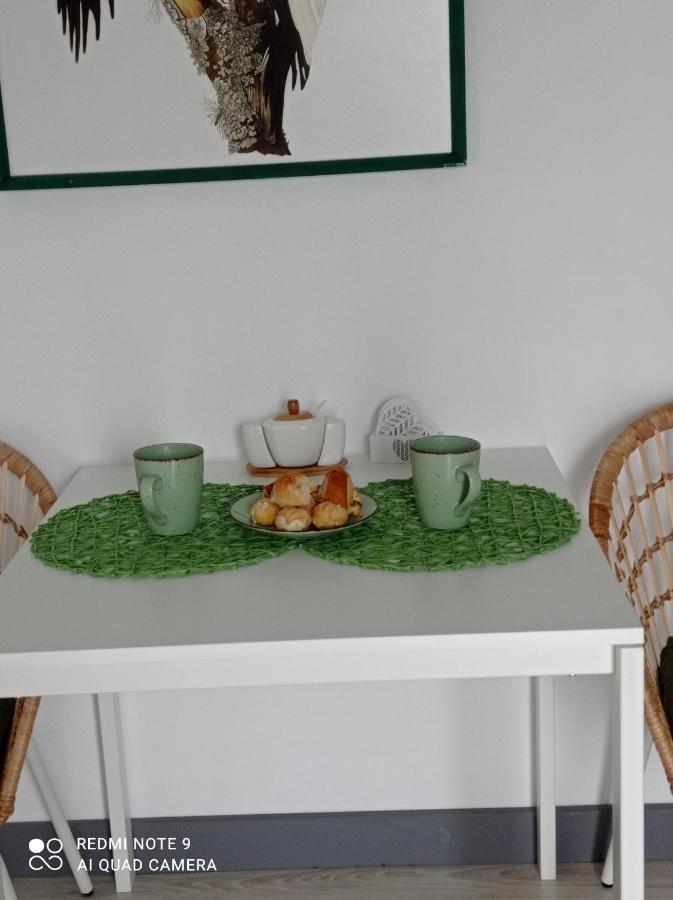 Studio Leśne Lubniewice Esterno foto